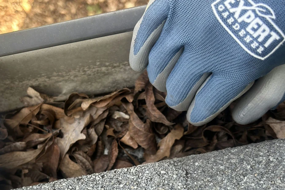 Gutter Cleaning Houston, TX